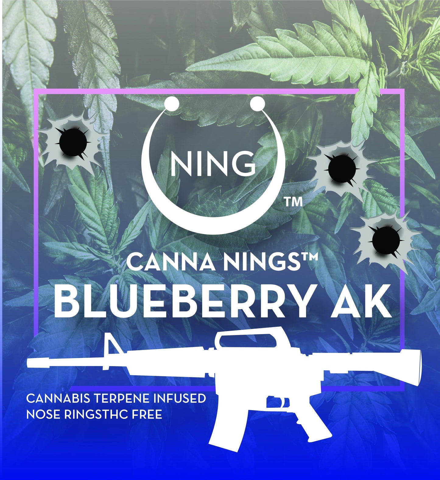 #NingBlueberryAK